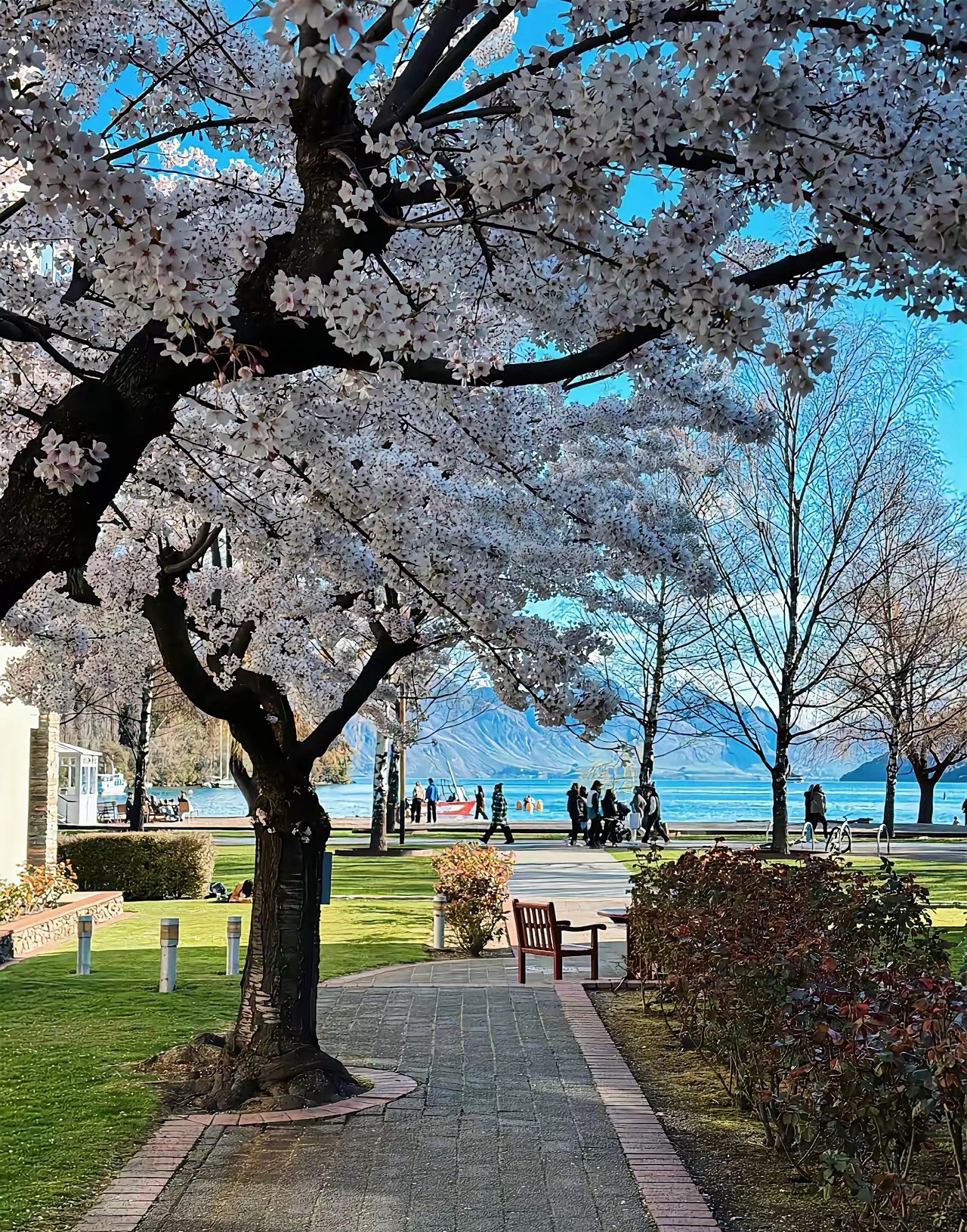 早上好！ ​​​