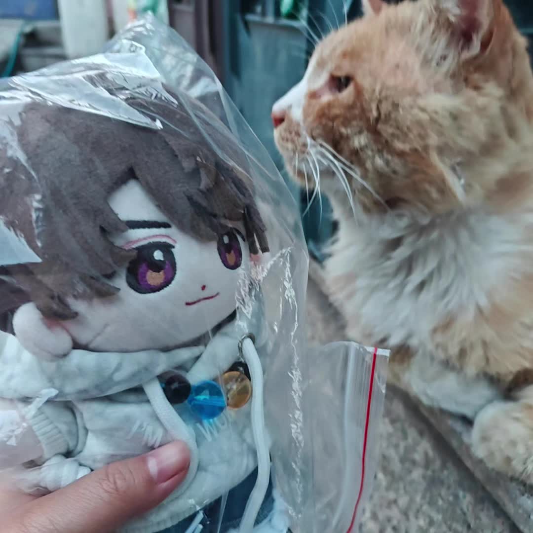 孩子出门（套袋版）