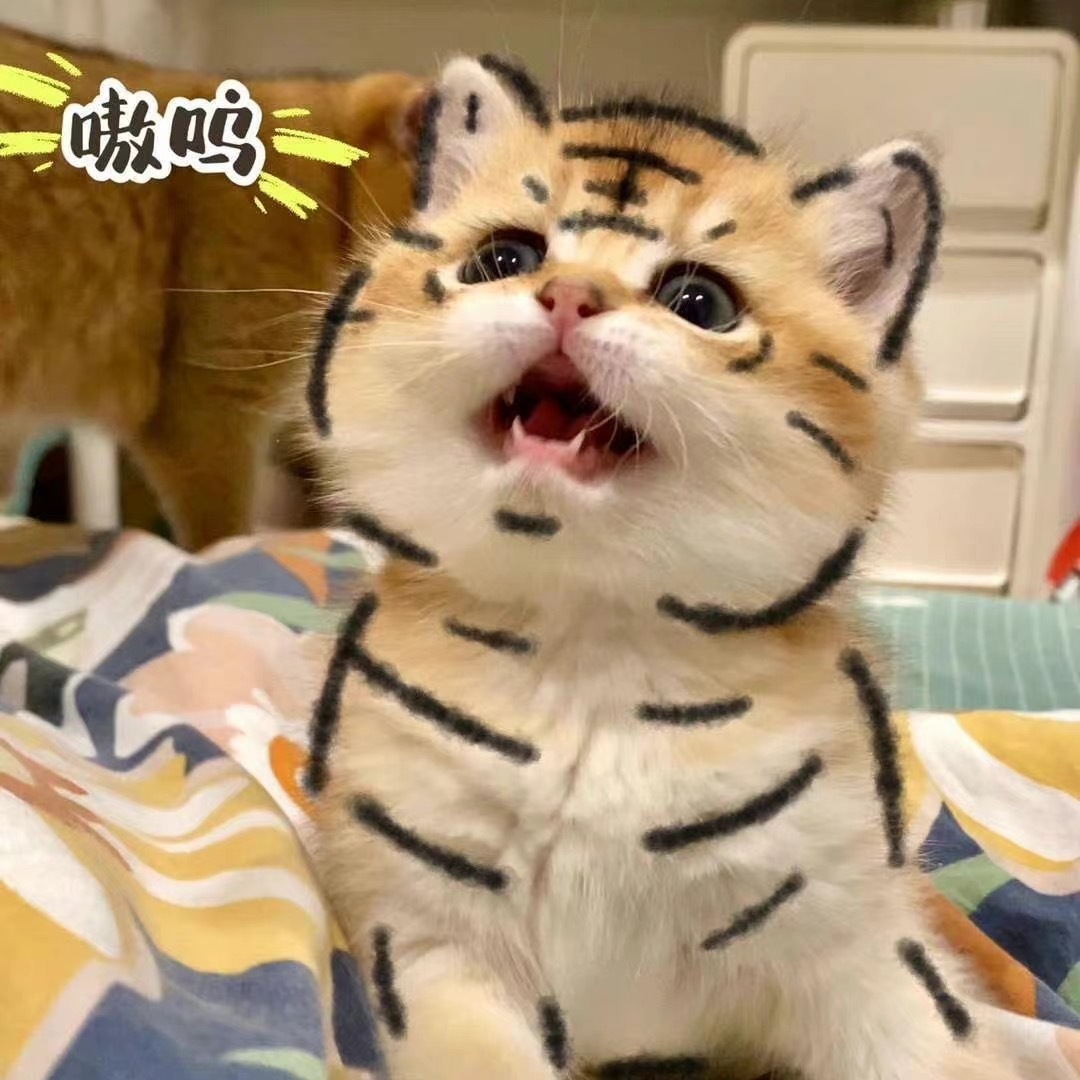 人生最重要的事情就是研究挣钱。因为钱能解决90%的事情，其它10%的事情也能靠钱