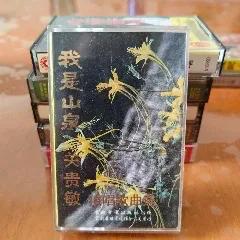 非常怀念八十年代的男高音歌唱家关xx 。当时他演唱的歌曲：电视片《哈尔滨的夏天》