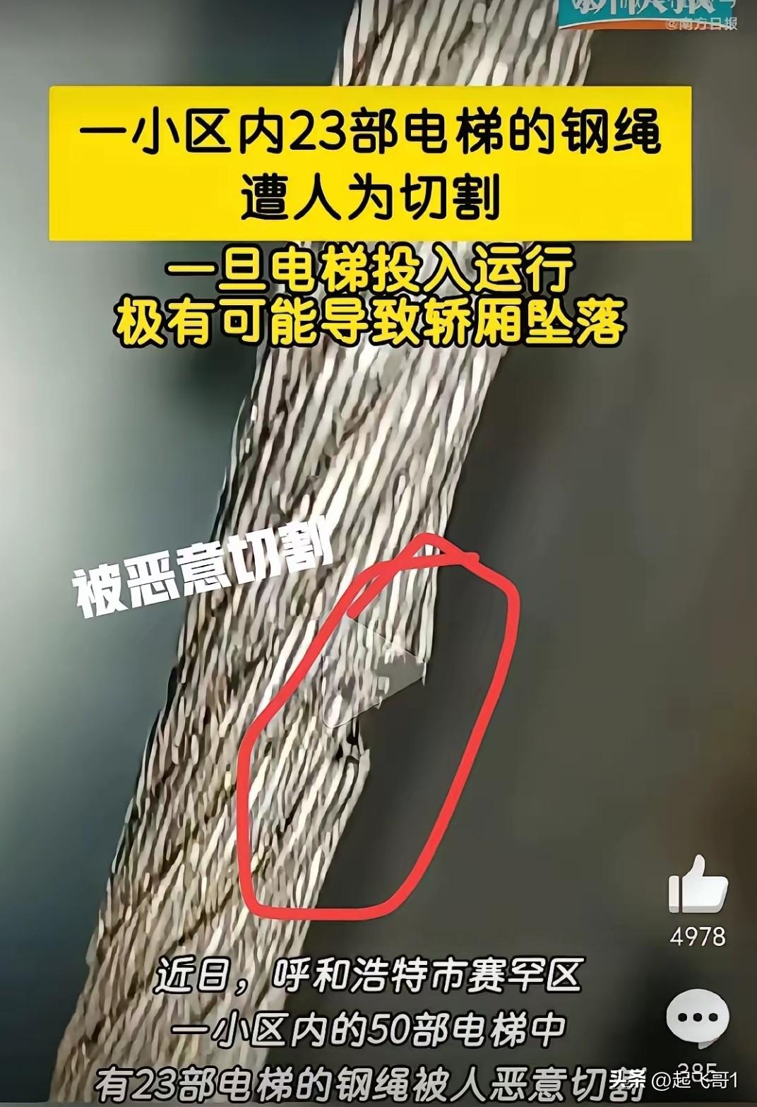 呼市有人割电梯钢丝绳，一小区50部电梯，其中23部电梯被割。
电梯是公共场合，钢