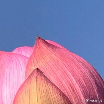世间相逢，皆为课题。人各有局限，接纳便是慈悲；境遇皆是考题，修己方得答案。人到中