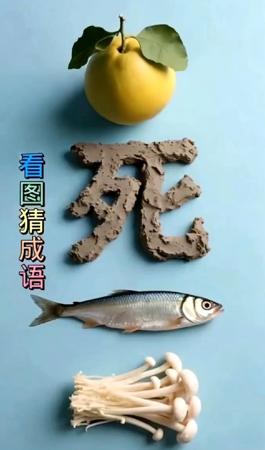 柚+死+鱼+菌，到底是什么成语？