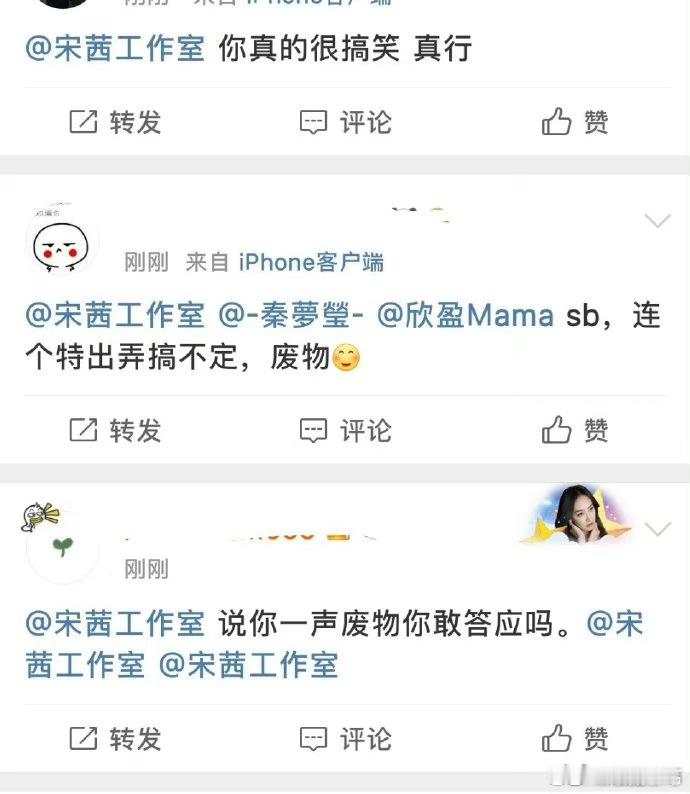 #宋茜王鹤棣番位#粉丝比蒸煮脸大已经官宣的番位肯定是宋茜自己已经接受的有什么骂的