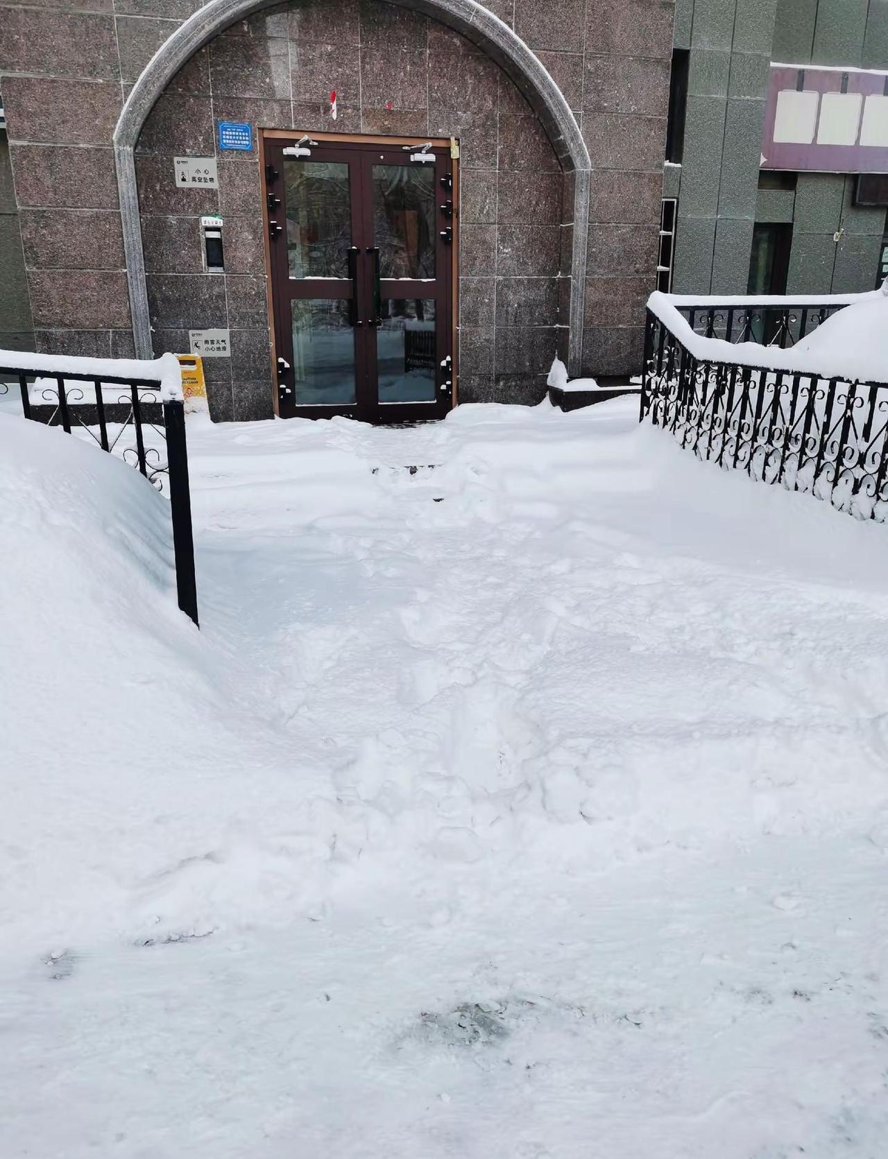 阳春三月，乌鲁木齐却迎来一场暴雪。本该春风拂面的时节，一夜之间满城银装，天地苍茫