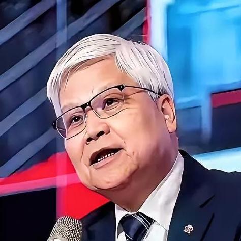 台积电把3纳米芯片技术给了日本，偏偏只给熊猫16纳米！就在这个时候，当熊猫在相关