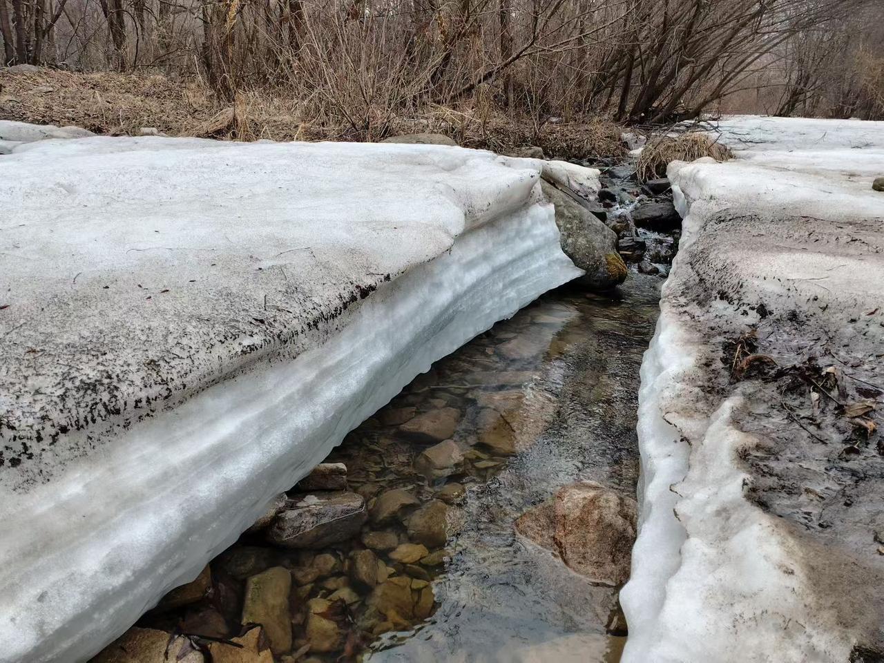 与痛风斗争的历程208
 
   早上起床，浑身关节还算正常，只是左膝关节和左肩