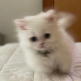 冯昂谈谈影视剧