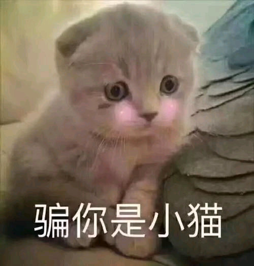 北京端午守护一线奋斗者健康 高温天还在外面跑单确实辛苦，能收到防暑物资和便民药品