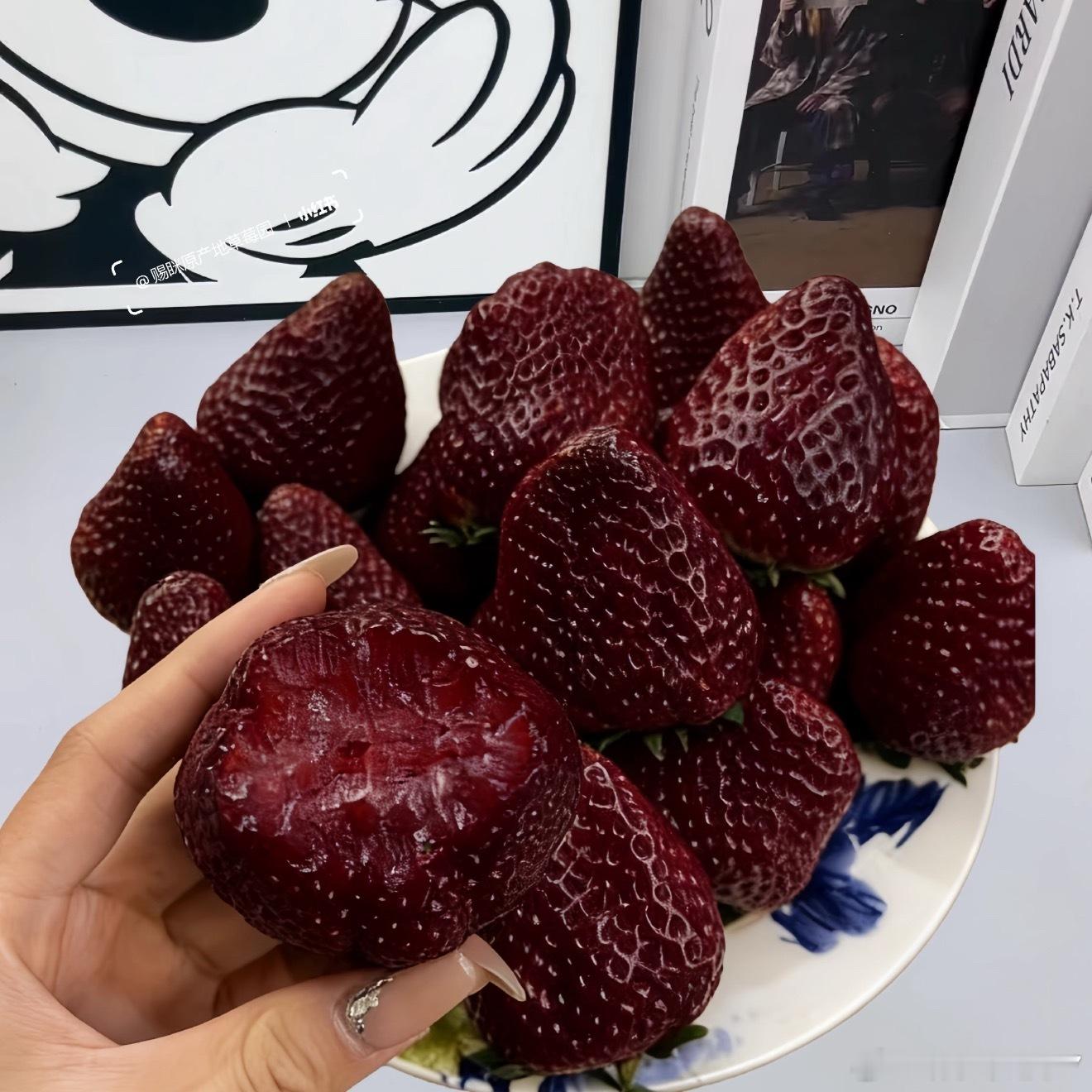 10元一斤草莓和300元一斤草莓区别大馋丫头真的会因为好奇去买。果然贵有贵的道理