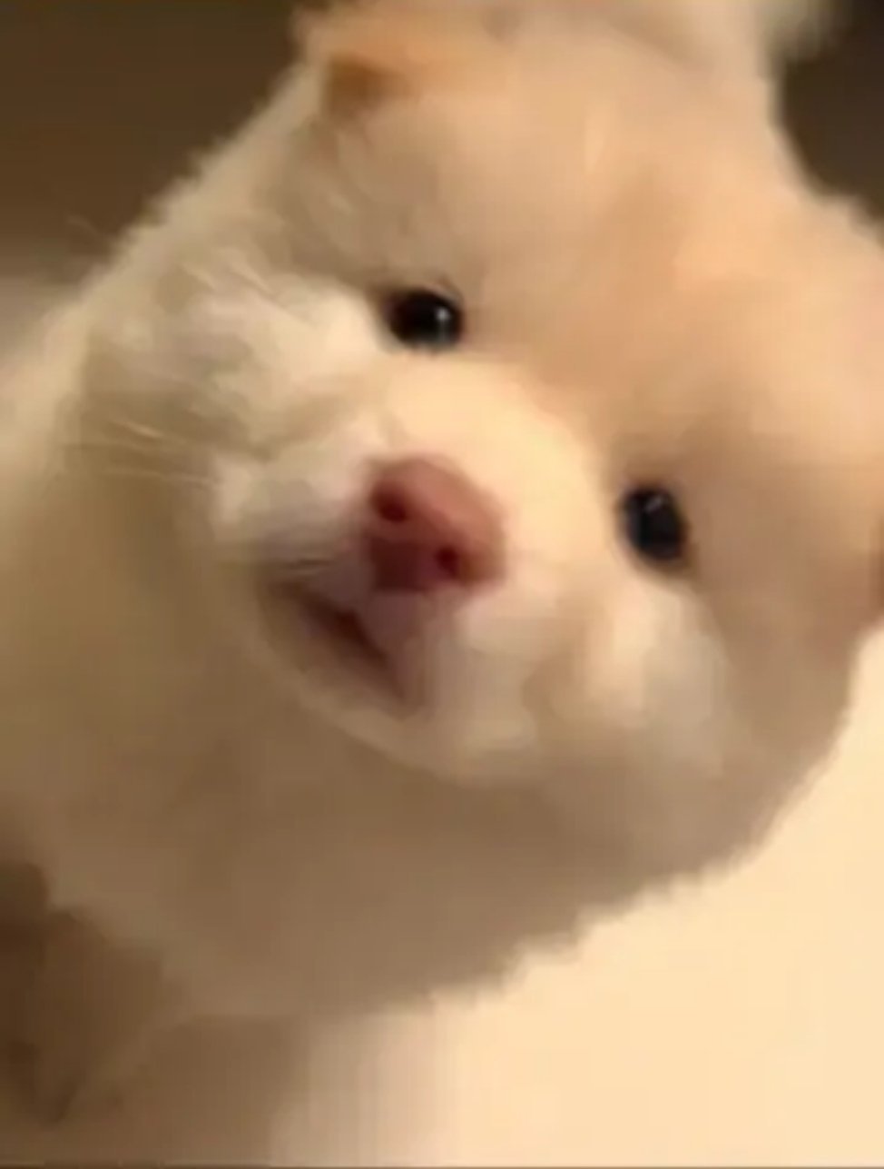 柱子视角的伟铿👇🏻 