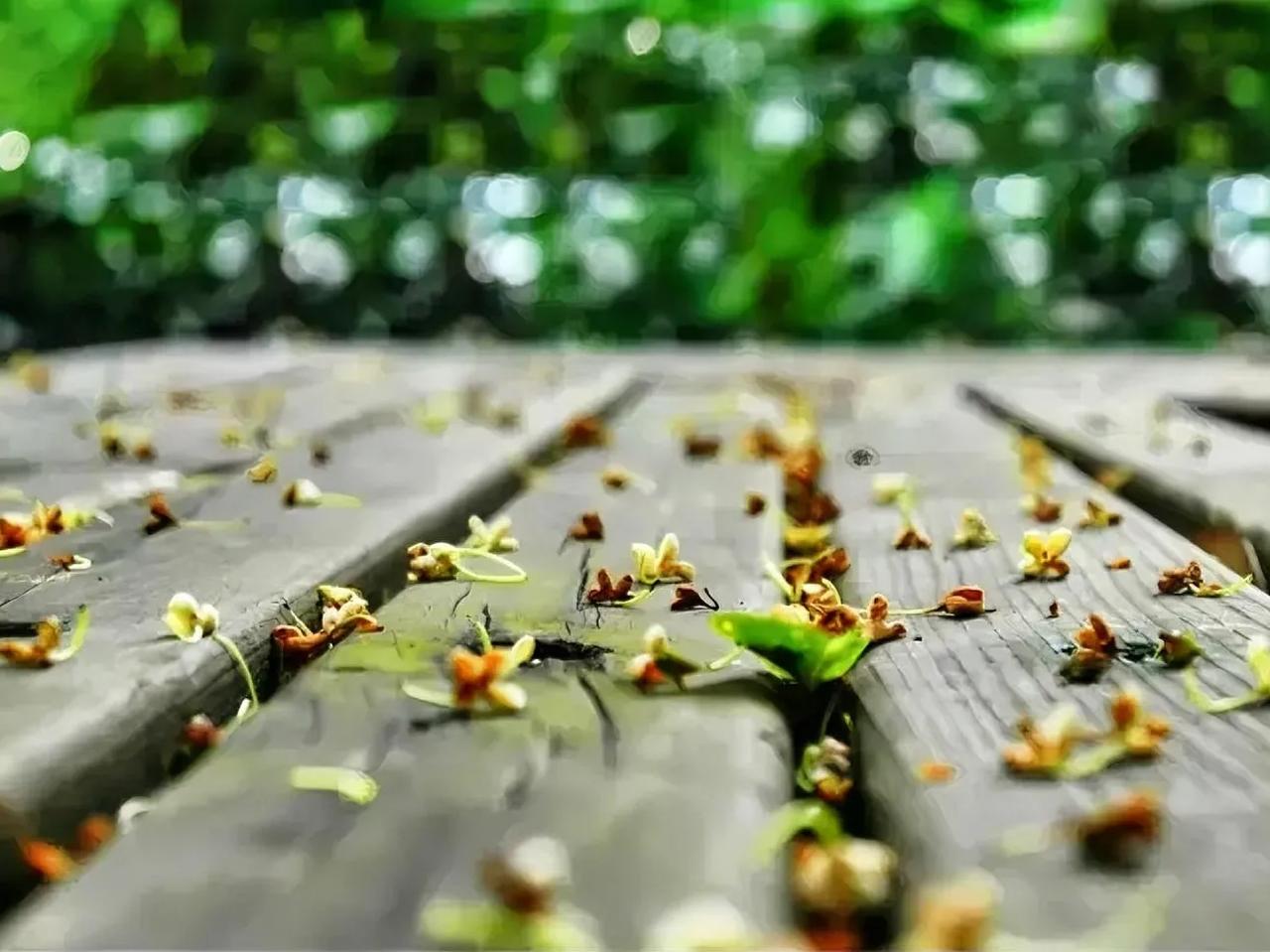 很喜欢的一段话：
“岁月不声不响，你且不慌不忙。
在凡俗的烟火里，愿以素心，
阅