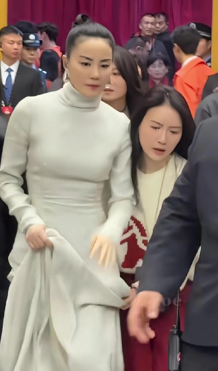 今年有个感觉，看她在春晚演唱，高清摄像头下面容显老，年龄大了，《如愿》之后，可以