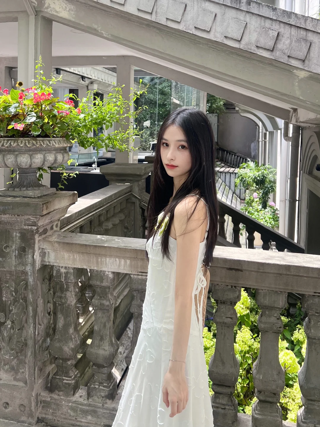 🏛🕊