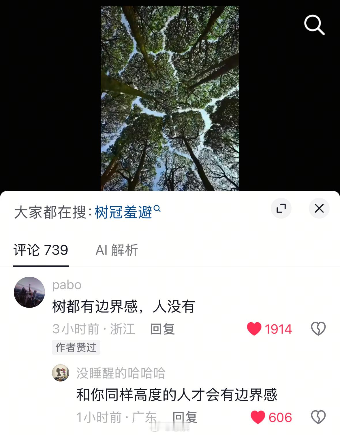 “ 树都有边界感，人没有 ” 