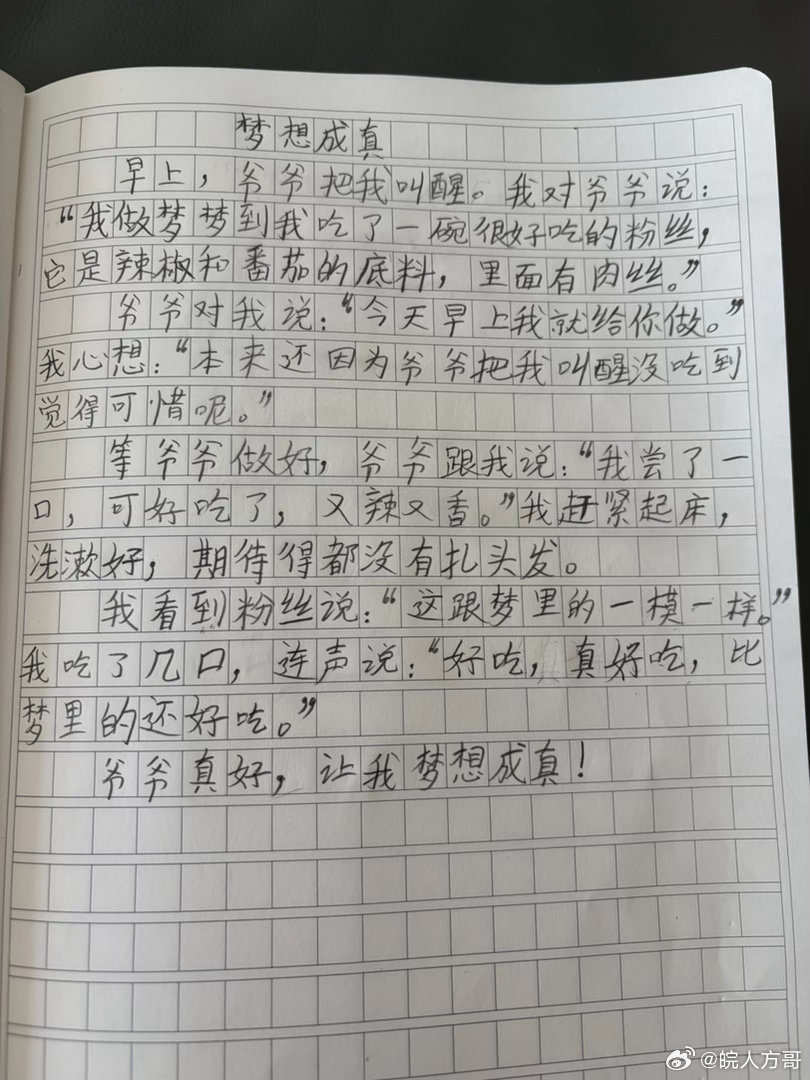 方小丫日记 小丫暑假作文：梦想成真（二年级） 