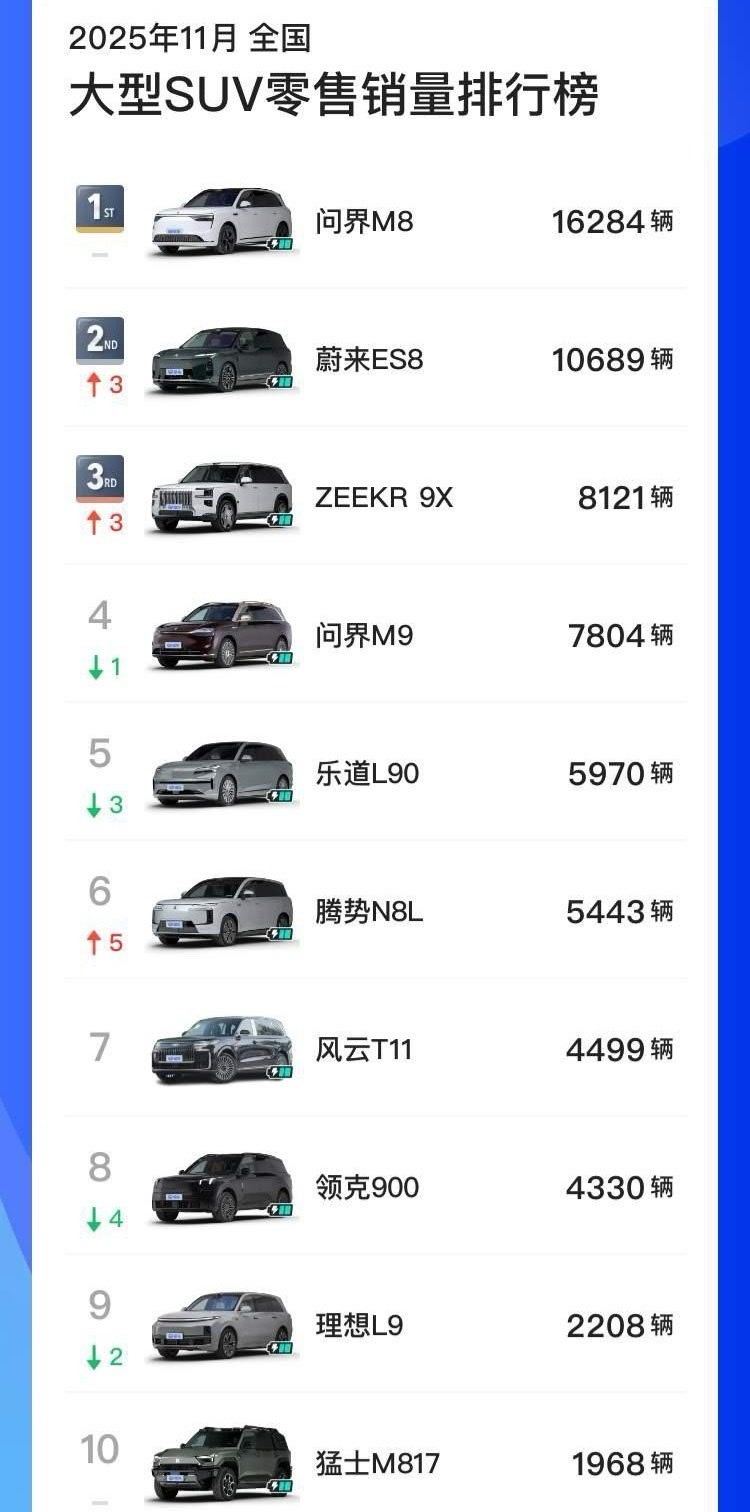 宝马X5 还是老当益壮，依然能排第五……要是没有这些新造车品牌，X5一个月卖个3