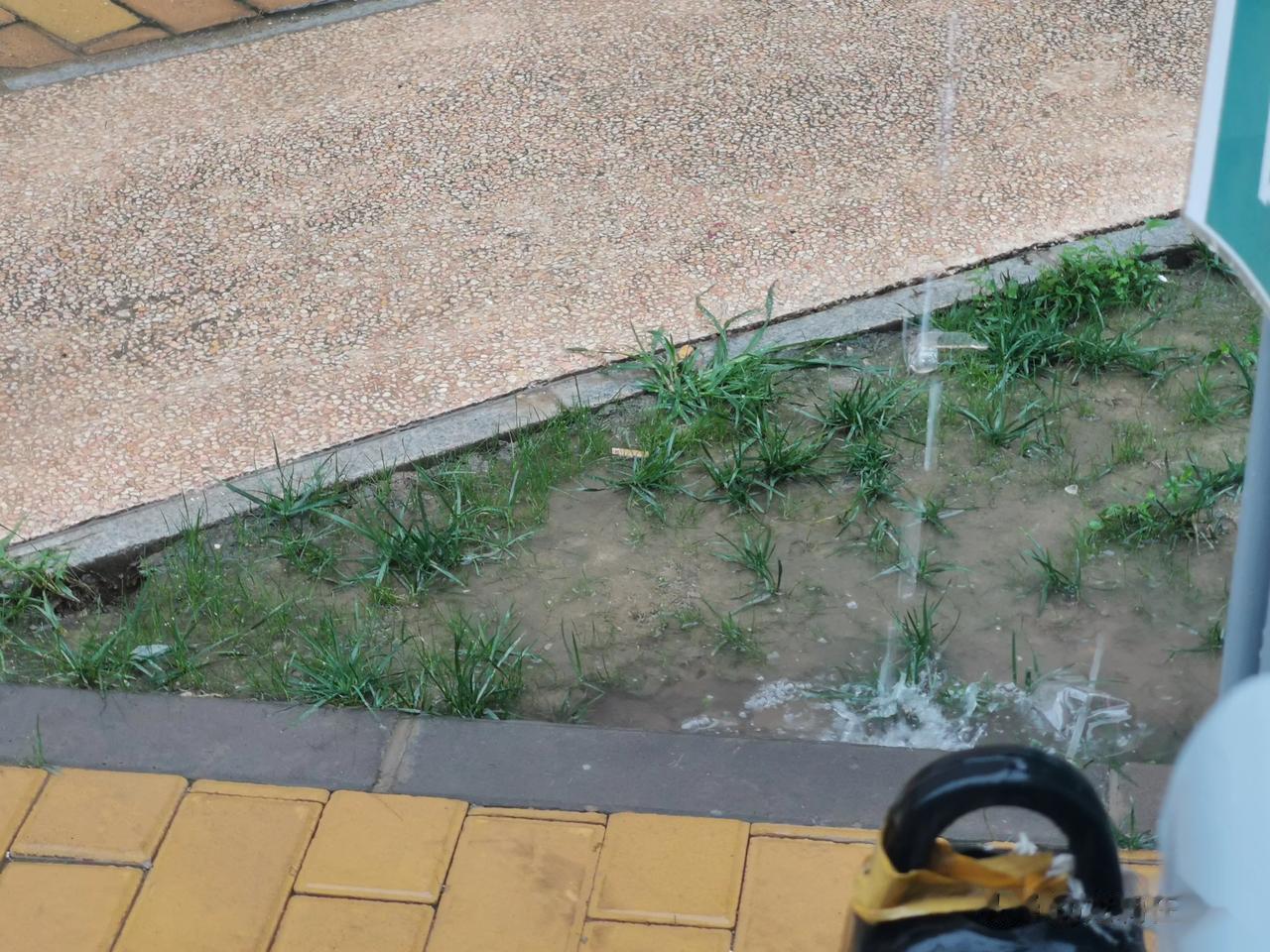 #热土计划# #本地头条# #北京头条# #北京新增1例大连输入确诊# 
北京海