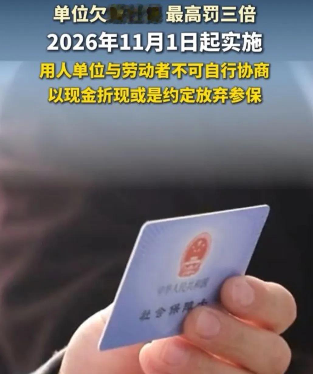 家人们，有个重磅消息必须跟你们唠唠！从2026年11月1日起，国家动真格了——企