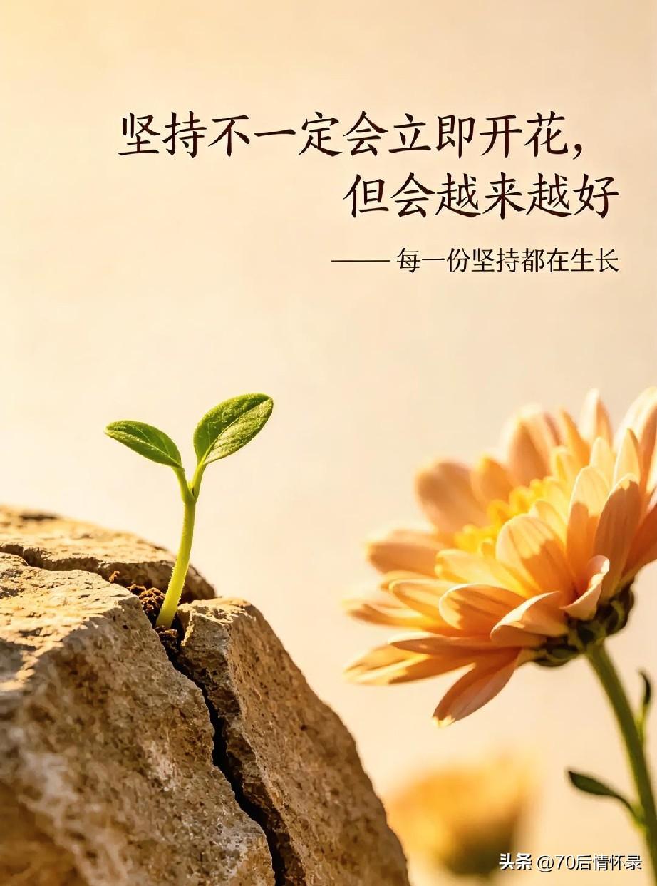 坚持更文坚持的是一份情怀，也是一场自我记录岁月之歌的坚守，把平平淡淡才是真的普通