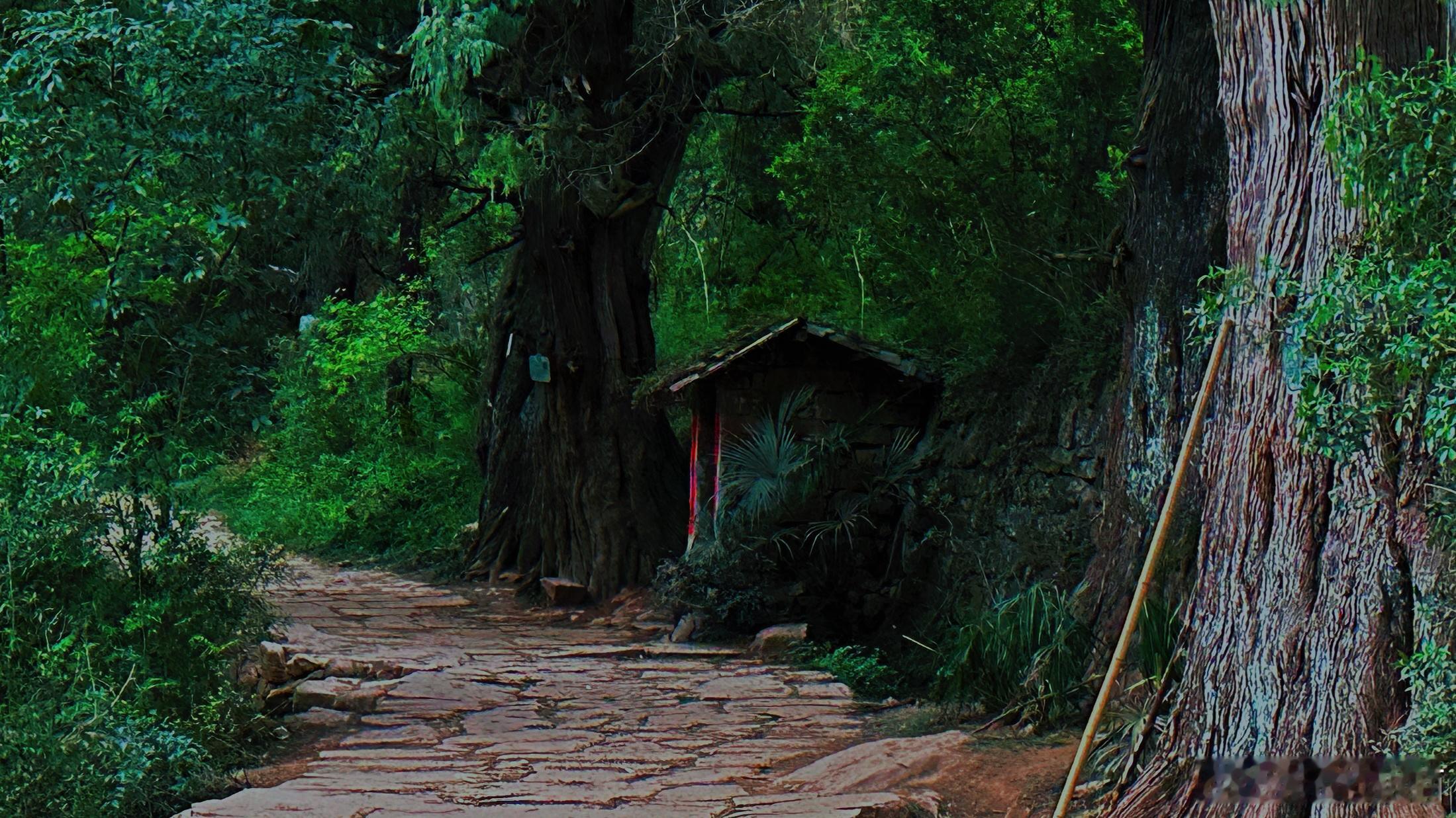 预告预告，黑神话悟空的玩家们，你们一定知道这是什么地方黑神话悟空黑神话悟空取景地