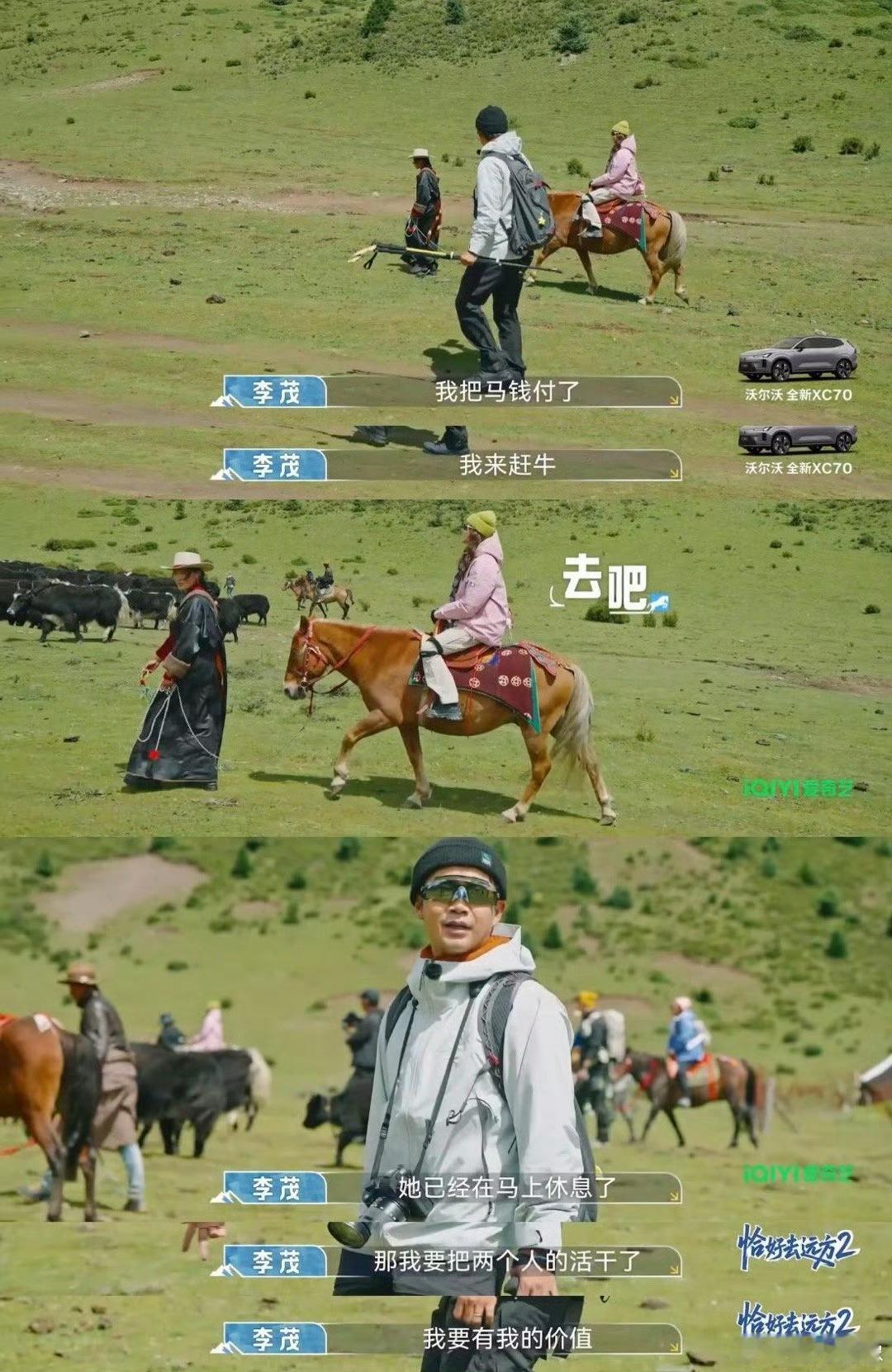 弦子优雅骑马李茂赶牛缺氧恰好去远方2 这段快把人笑出眼泪！弦子高反骑马悠然晃悠，