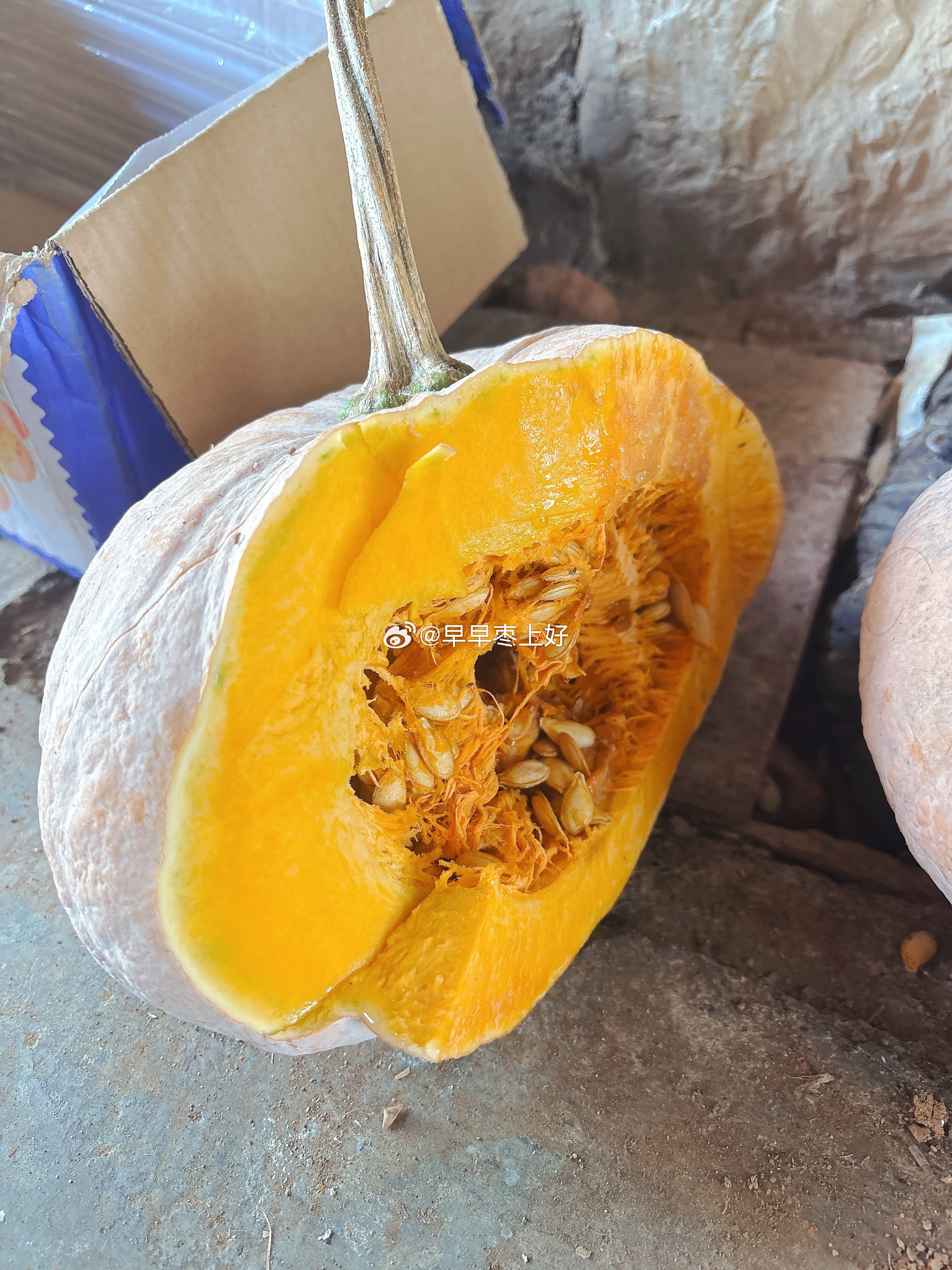 ॱଳ͘ 𝒚𝒖𝒎𝒎𝒚‼ 我家今日份的南瓜🎃馒头，蒸好了。啊啊啊～～好挤