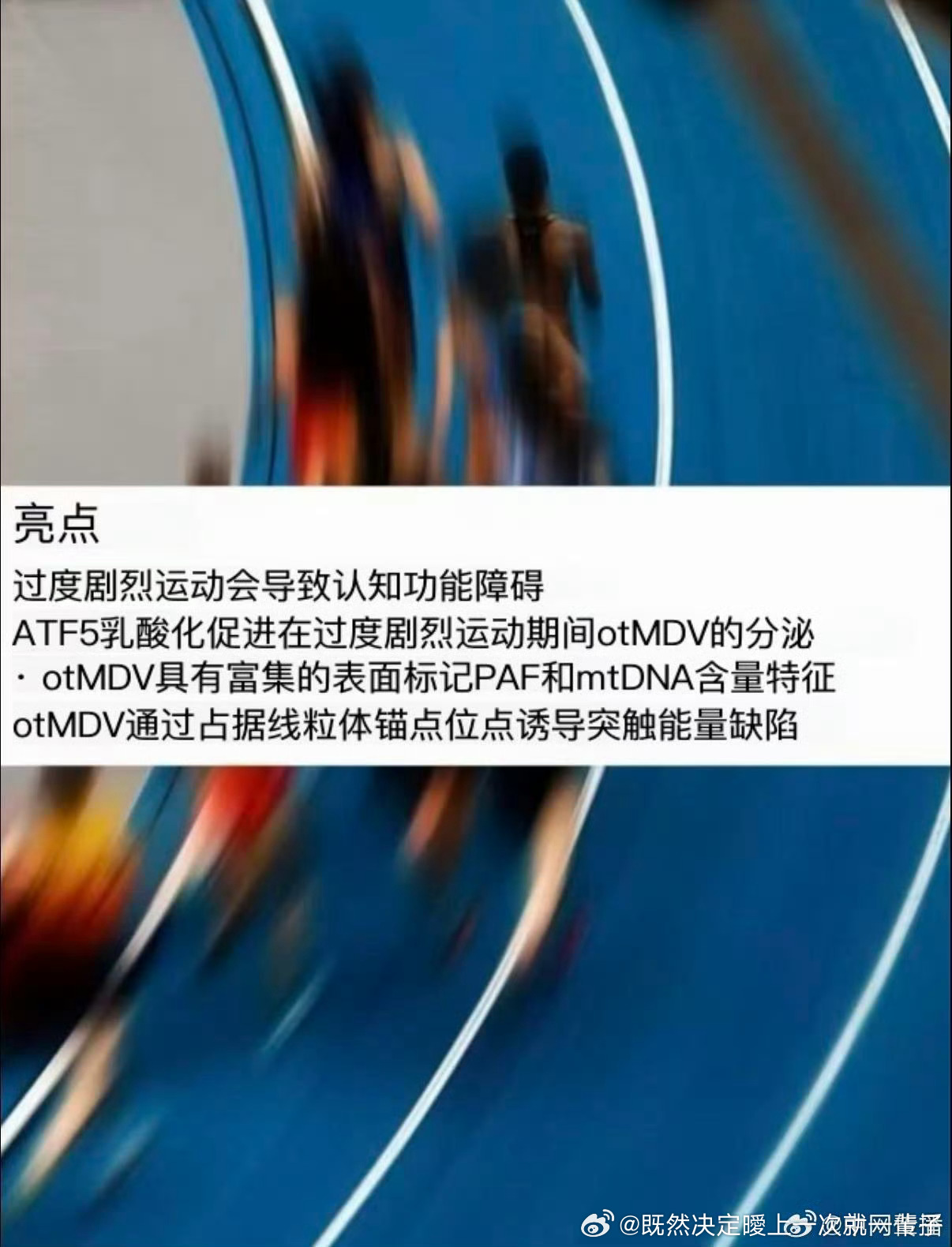 专家称过度运动会导致大脑反应变慢别让自律变成自伤！湘雅医院研究证实过量剧烈运动释