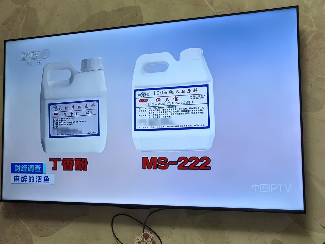 活鱼竟被“麻醉”上市。
      今天看 央视《财经调查》，近期曝光水产行业隐