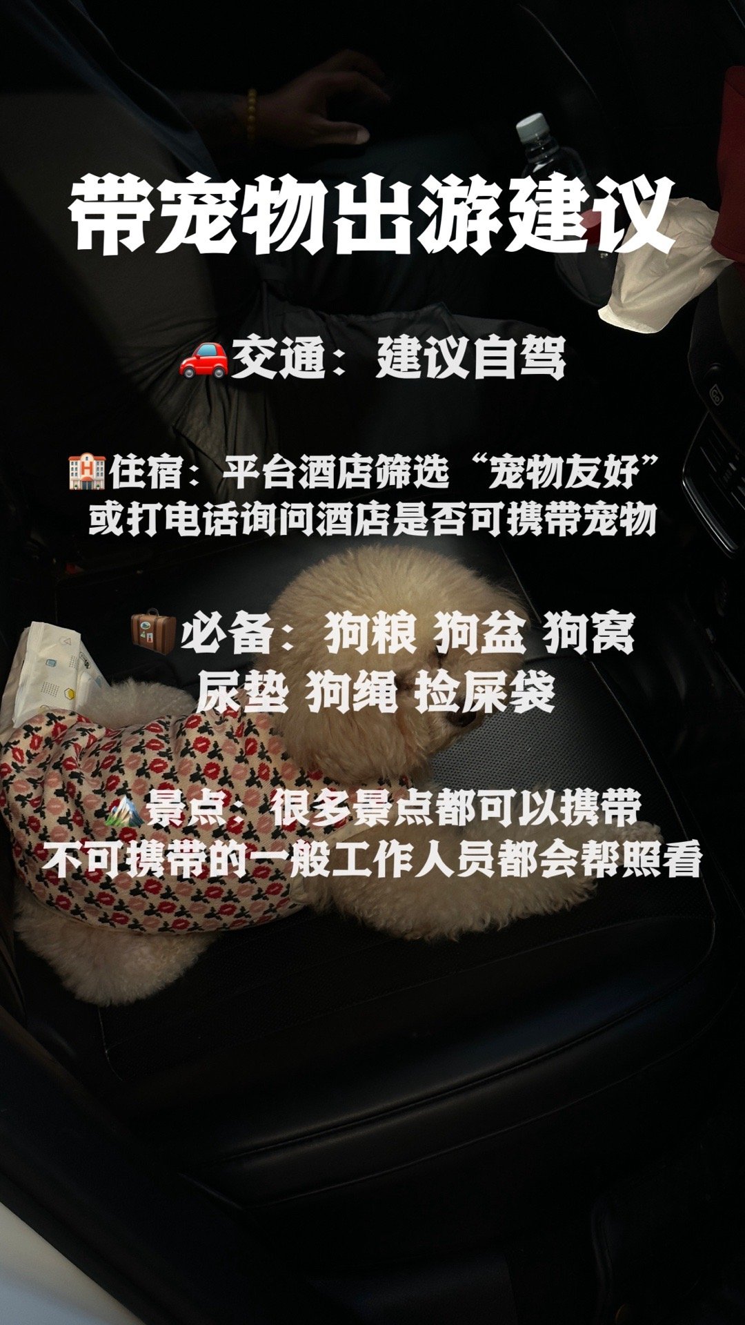 #丽江[超话]# 来丽江旅游带宠物🐶方便吗？如果想把家里的宠物狗带上可不可以？