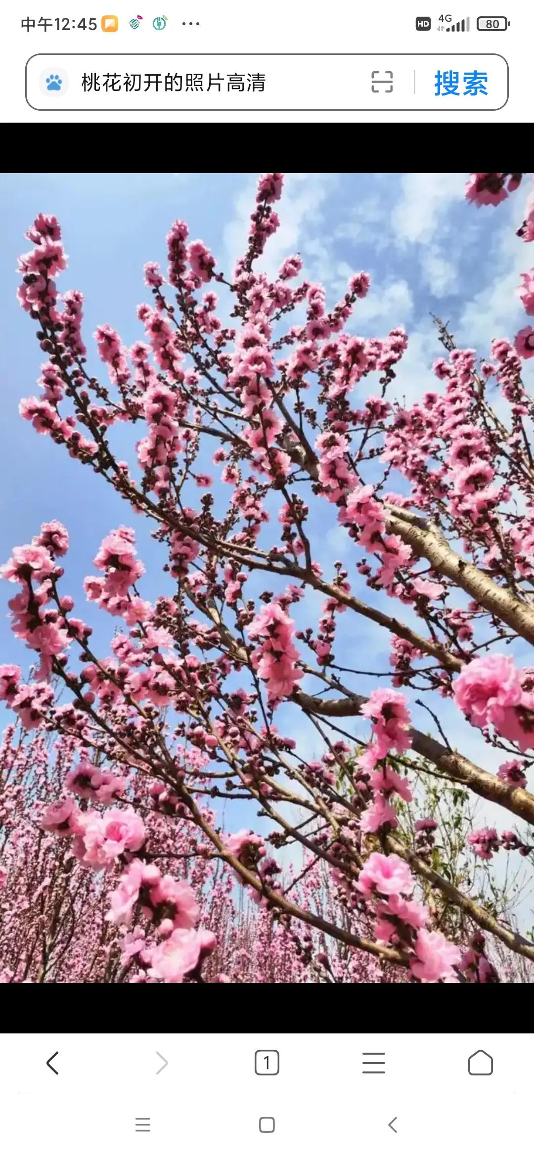 爹有钱来娘有票，
不好意思张口要。
妻也有来夫也有，
不如自己手里有。
子也有来