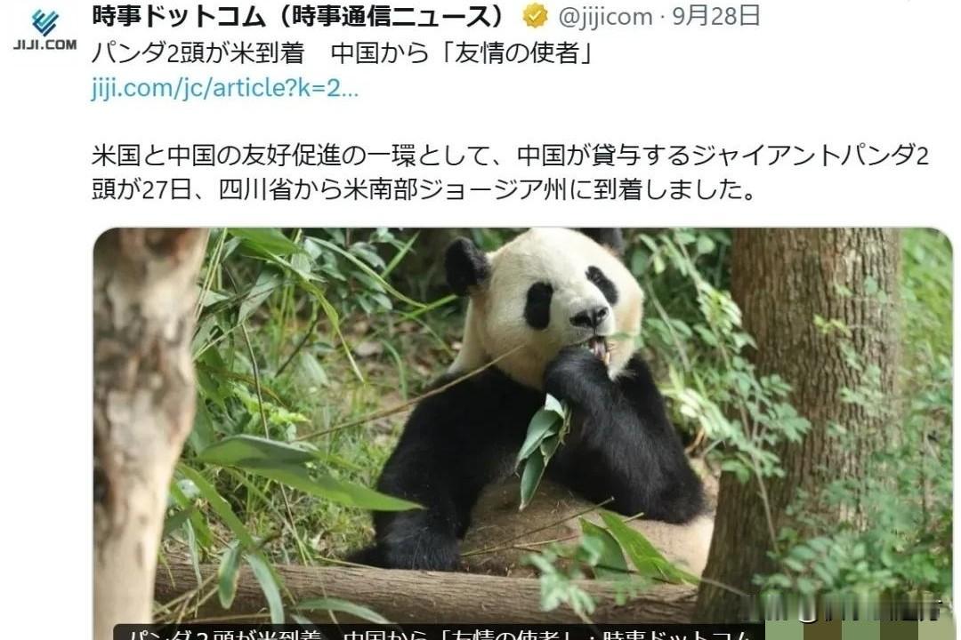 美国迎来6只大熊猫，日本媒体为何比美国人还激动？

9月27日，“平平”“福双”