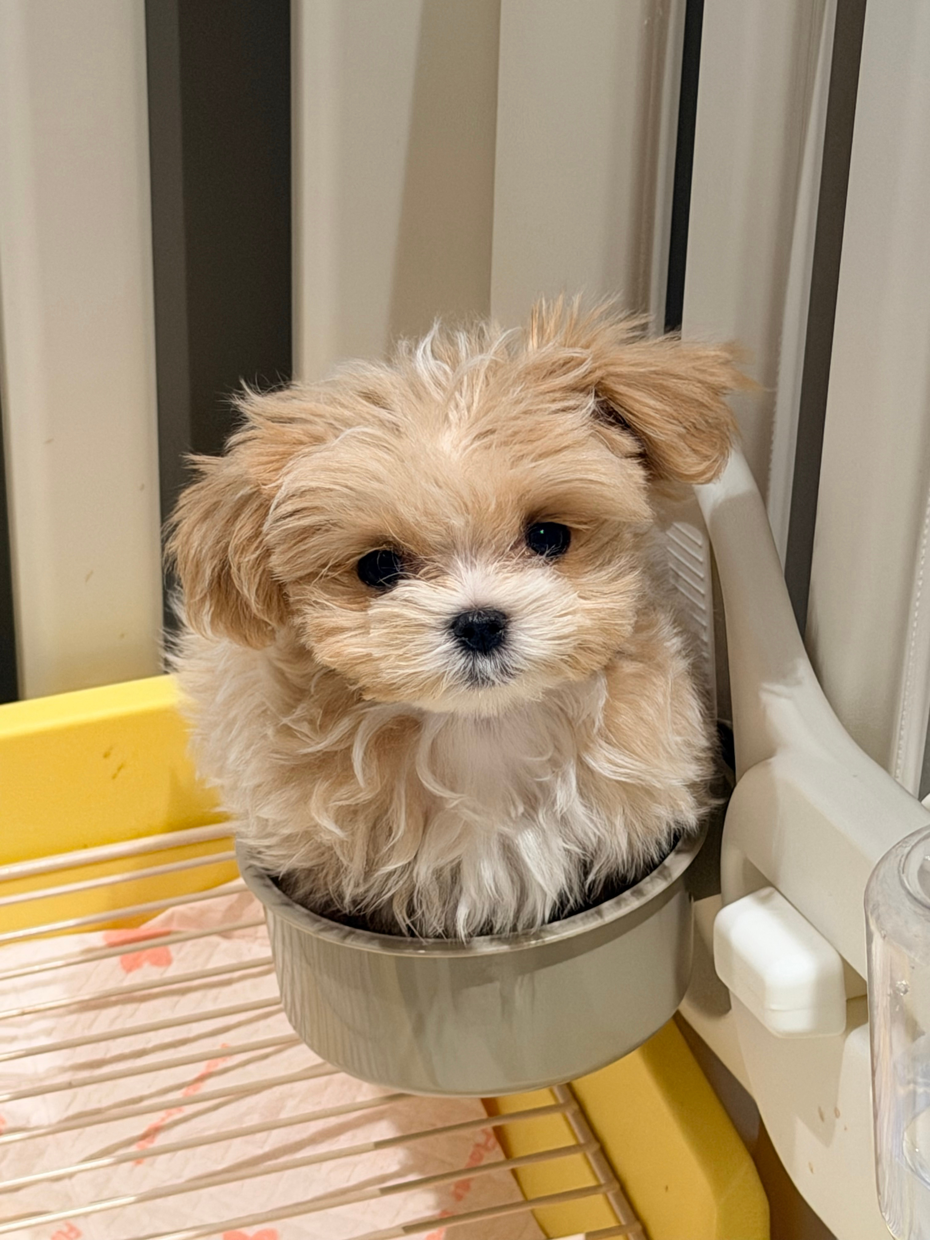下班吃什么与你相钰