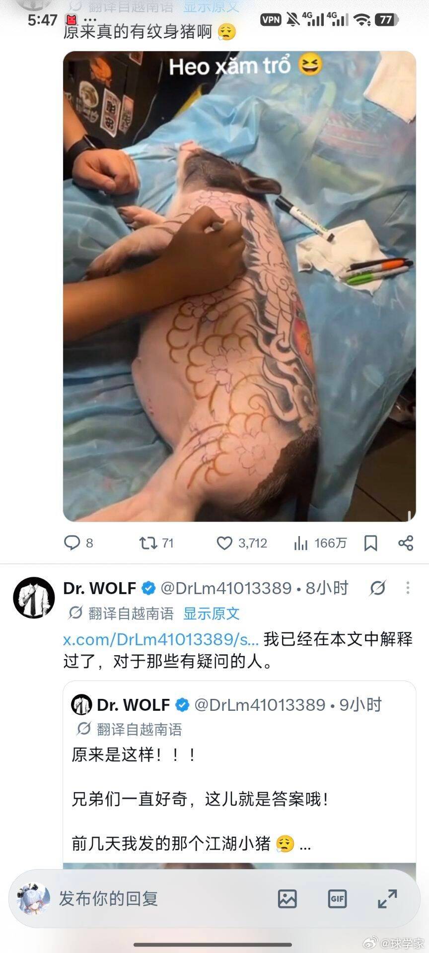 🔵谁家好人给猪纹身啊( ﾟᯅ 。)星球视角 ​​​