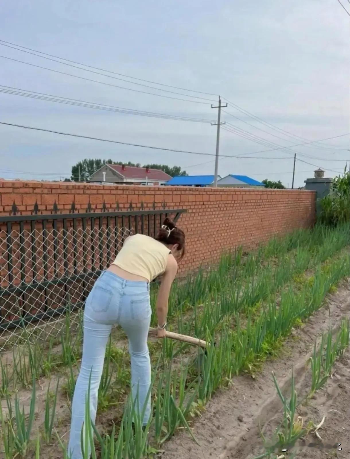 自己种菜，自己吃