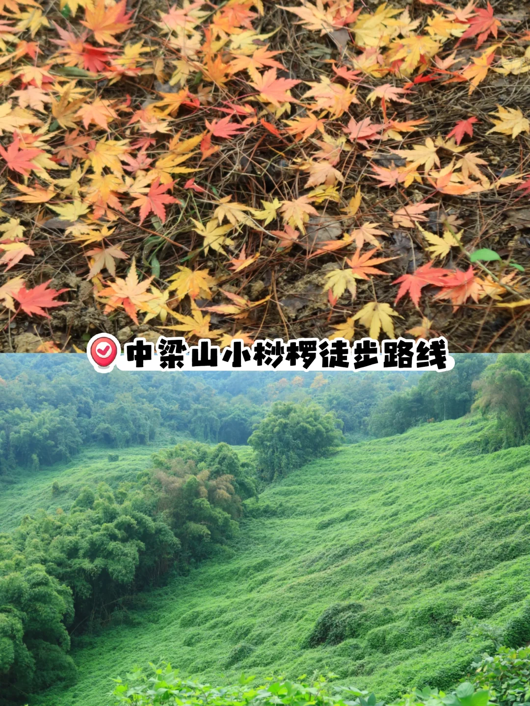 是秋冬还是春夏？中梁山的这条路线太美了！