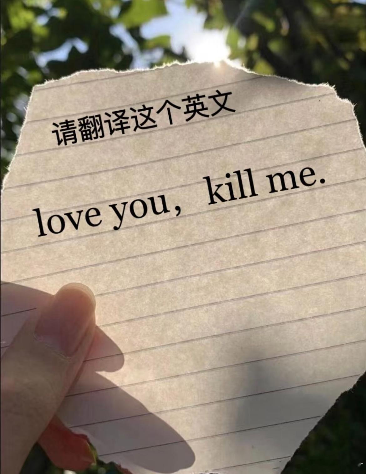 用你的英语水平翻译一下这句话 ​​​