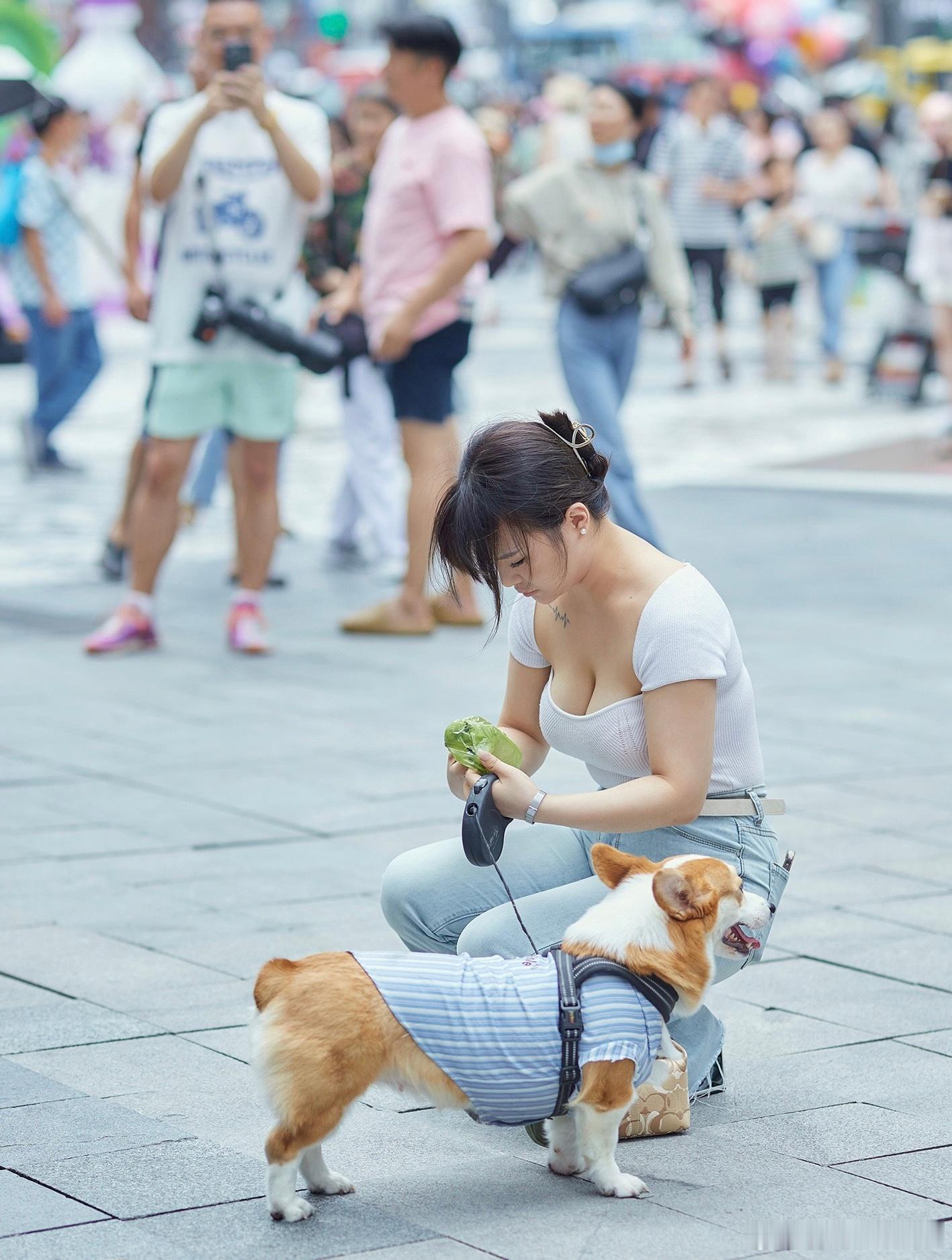 好可爱的🐶 ​​​