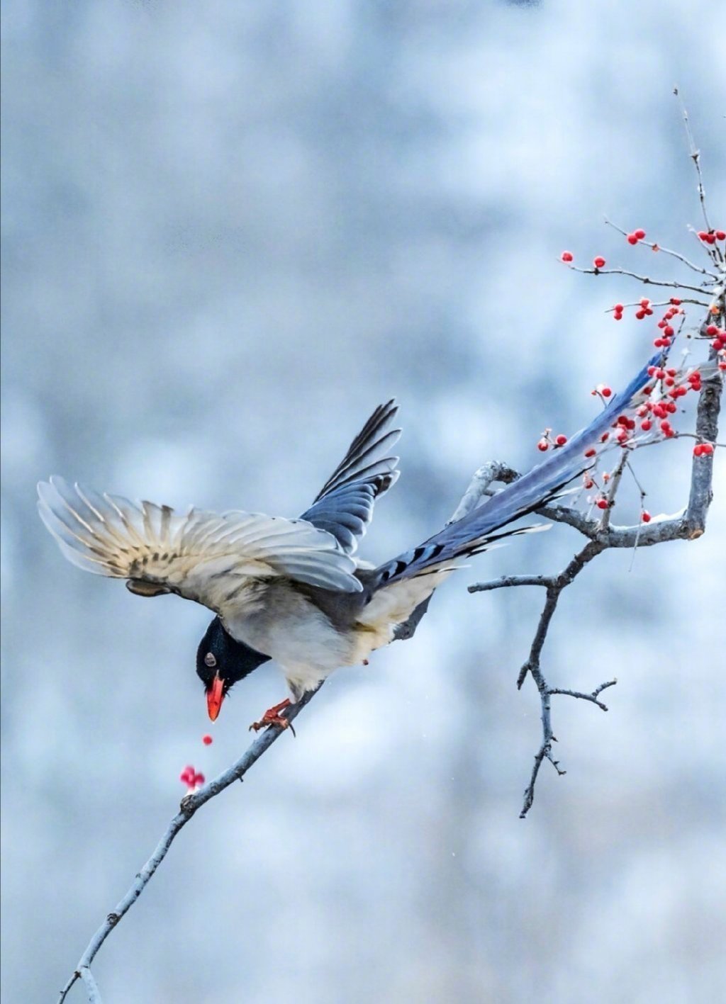 喜从天降，鸿运当头，惊喜不断！ ​​​​