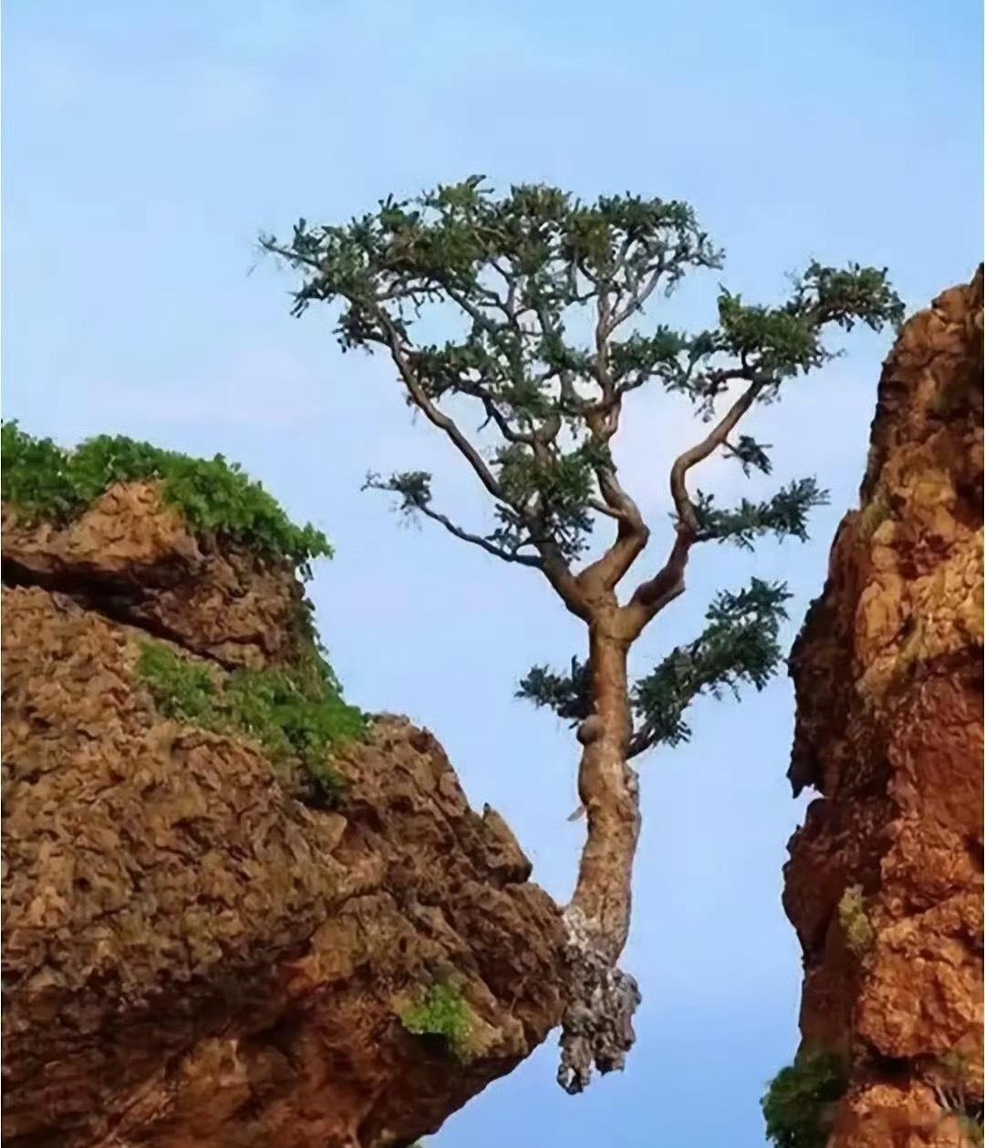 能熬住的孤独寂寞，沉默寡言的人，往往思维更加的周密，想的更加的全面，做人做事谋划