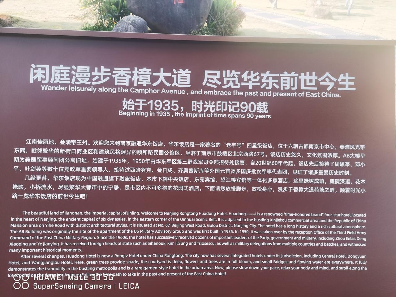 通往南京华东饭店纵向起伏的香樟大道