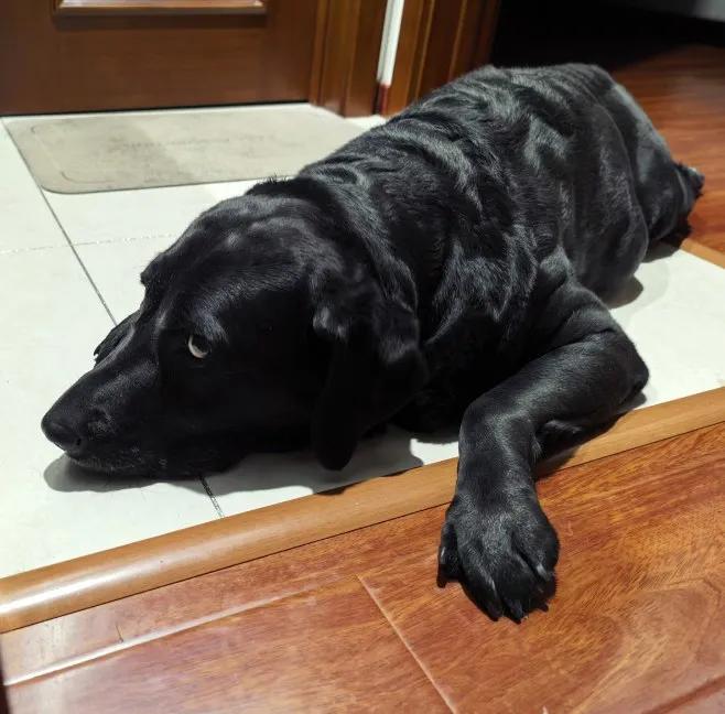 活着，千万别把自己活被动了！
​
​其实我很羡慕泼皮破烂户，敢爱敢恨，拿的起放的