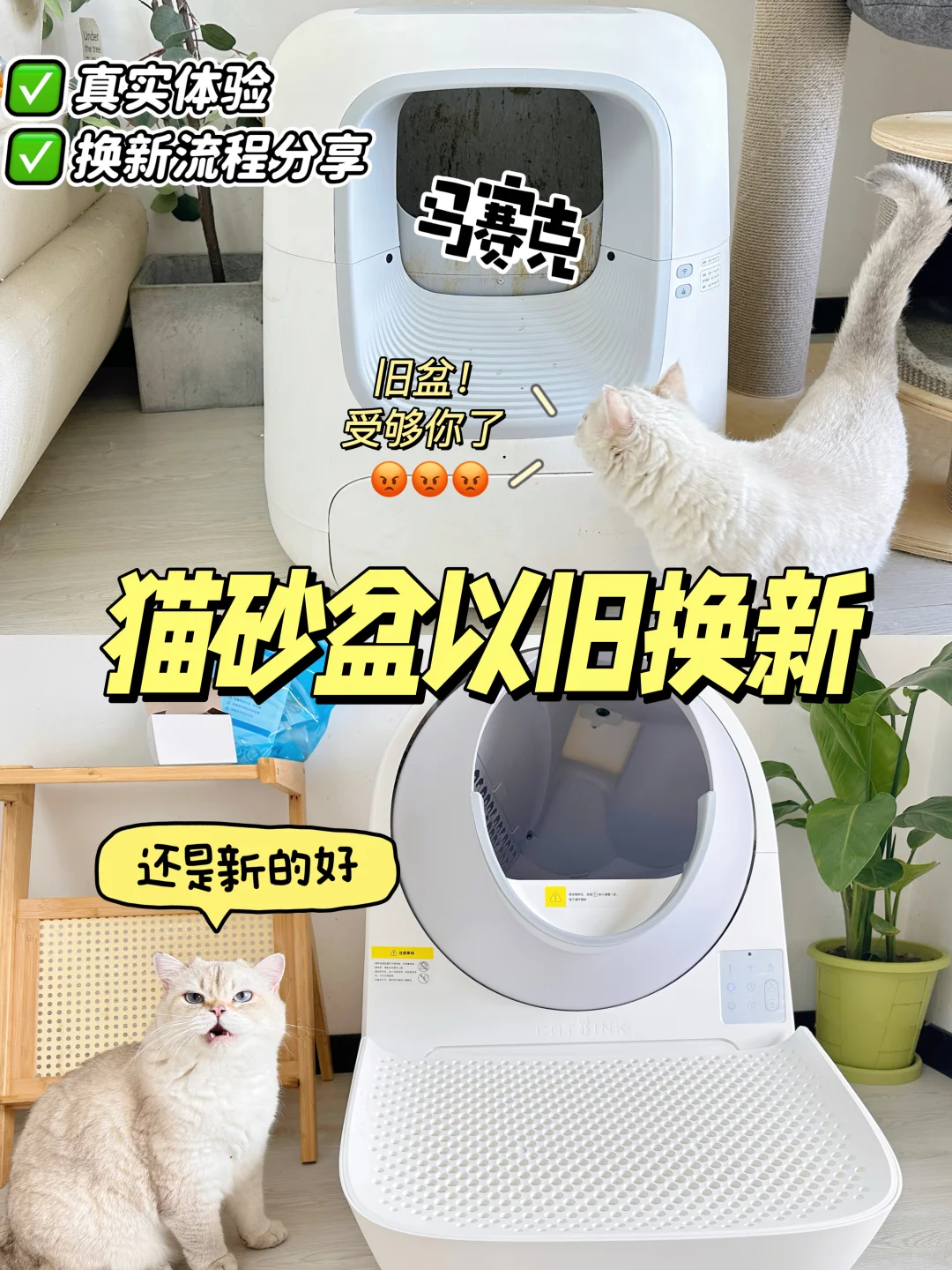 不是智能猫砂盆买不起 以旧换新更有性价比！