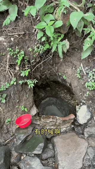 小石潭记，潭中鱼可百许头，皆若空游无所依。