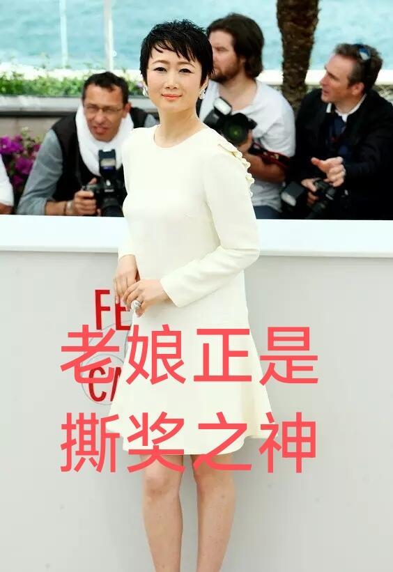华语女演员撕奖的神：赵涛三次担任国际A类电影节评委，三次都有奖，涛女帝的权威 2