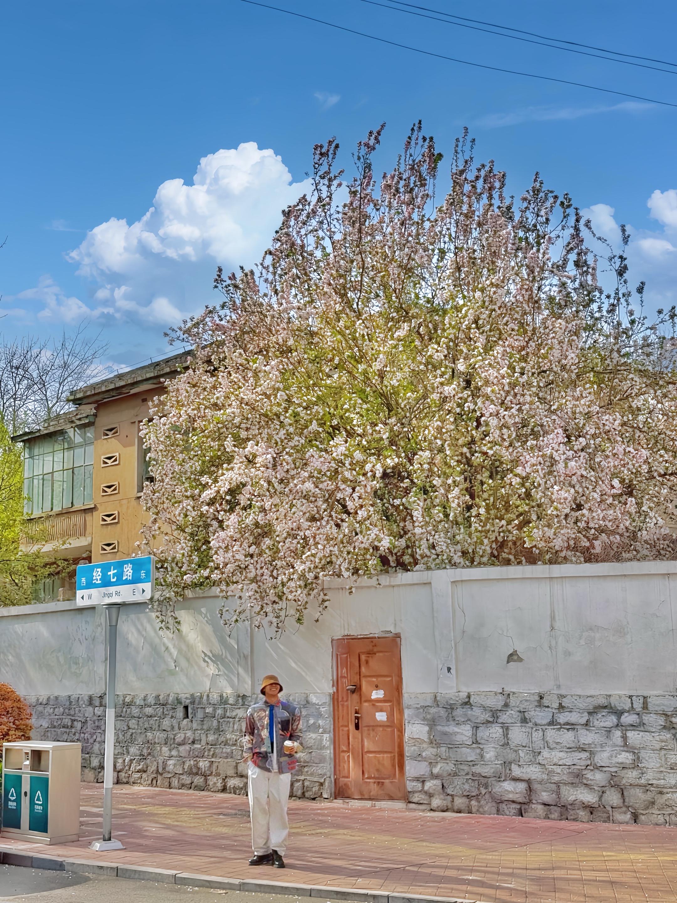 竟然在济南❗️日剧里的场景🎬照进现实。当日光揉碎☀️洒落在午后 空气...