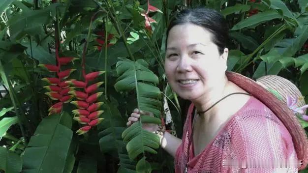 谁敢相信邻居大妈是间谍！
潘婉芬，越南出生的美国公民华裔，潜伏中国20年。一次自