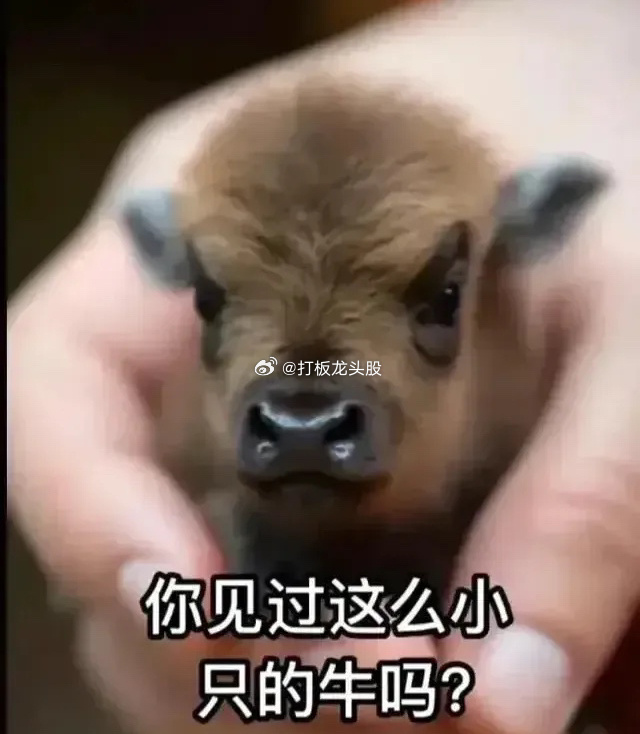 网传国庆之后，证券交易规则将发生调整，据行业人士猜测可能延长交易时间。目前全球只
