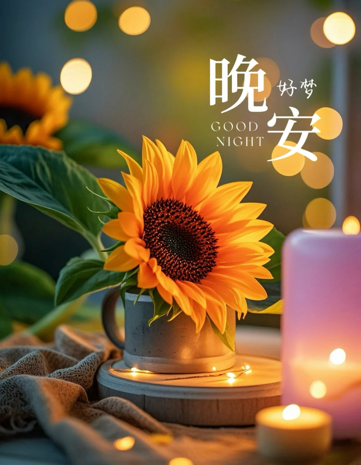 答案在路上，自由在风里，静中无妄念，忙里有欢喜，幸福感不在富足，而在知足，在喜欢