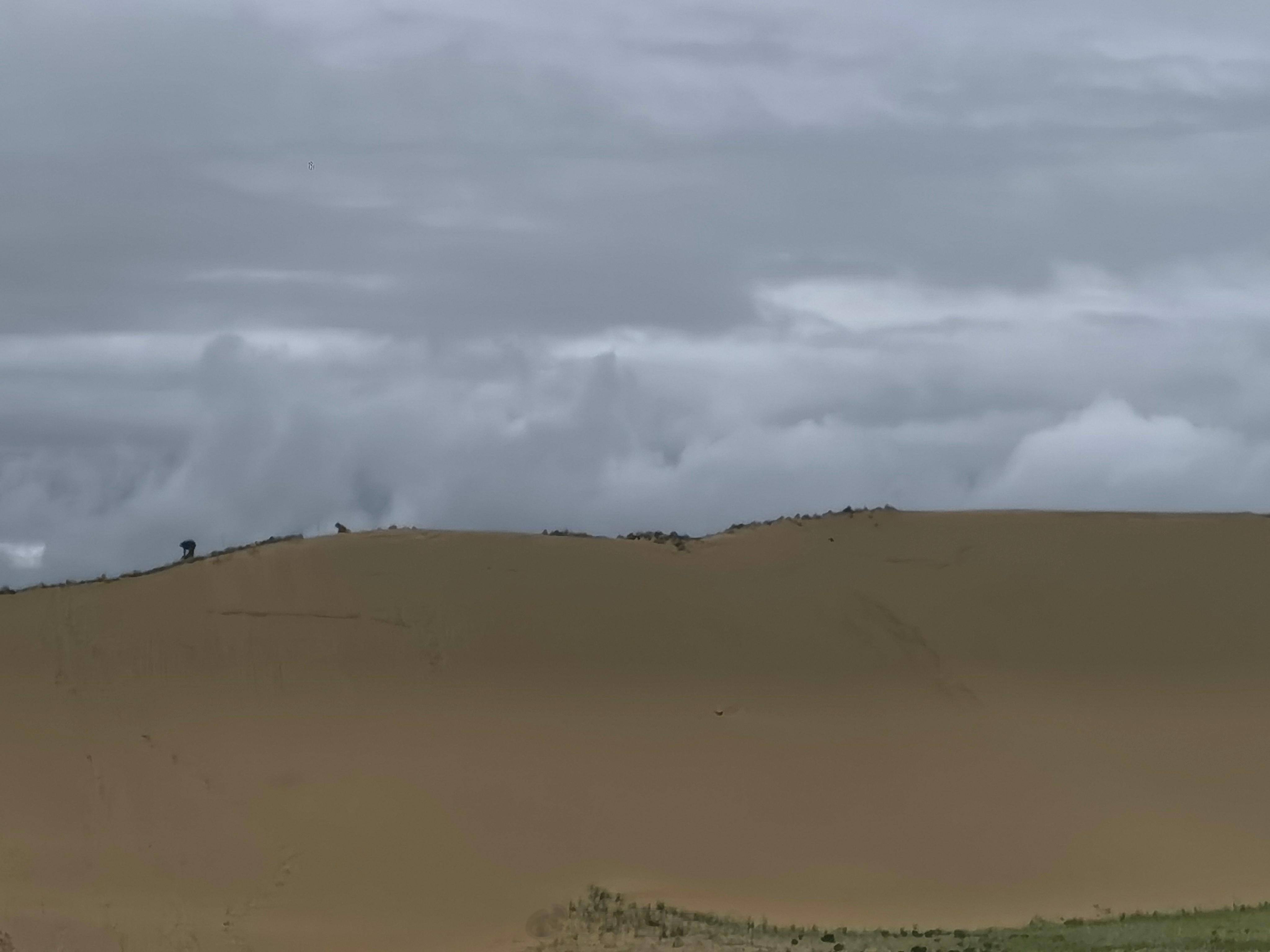 #红色热土高海拔之恋# 一大早就看到当地村民在沙地种植网格蕨类植物治沙！想起今年